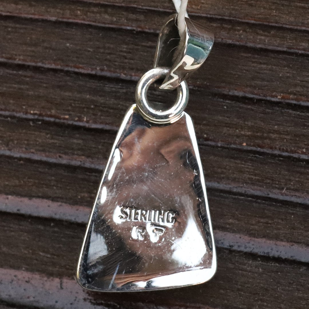 Pendant by Robin Tsosie